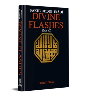 DIVINE FLASHES